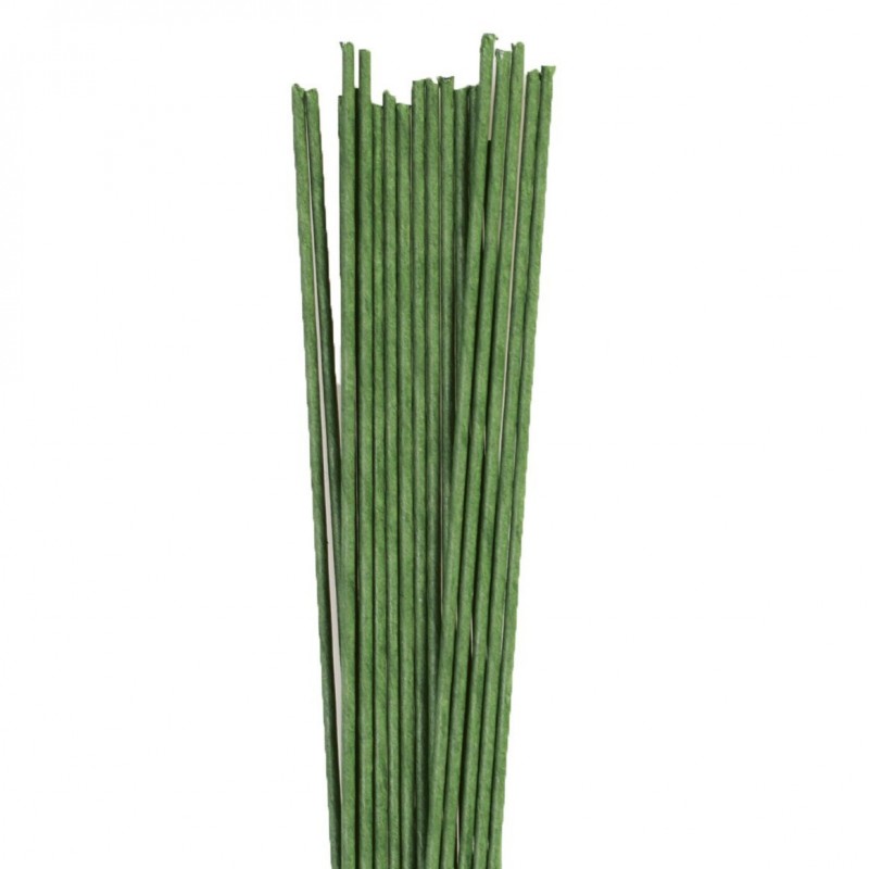 20 Arames para Flor Verde