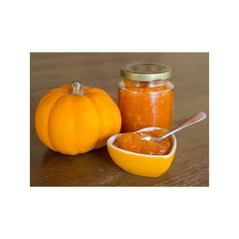 Creme de Abóbora 500g