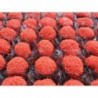 MISSANGA Vermelho 75GR