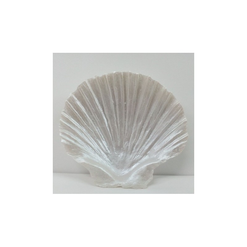 Concha (8,5x9cm)