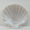 Concha (8,5x9cm)